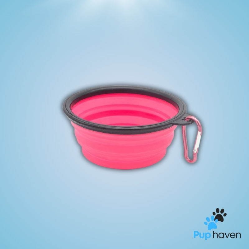 Folding portable silicone pet bowl for food and water, ideal for travel and outdoor activities.