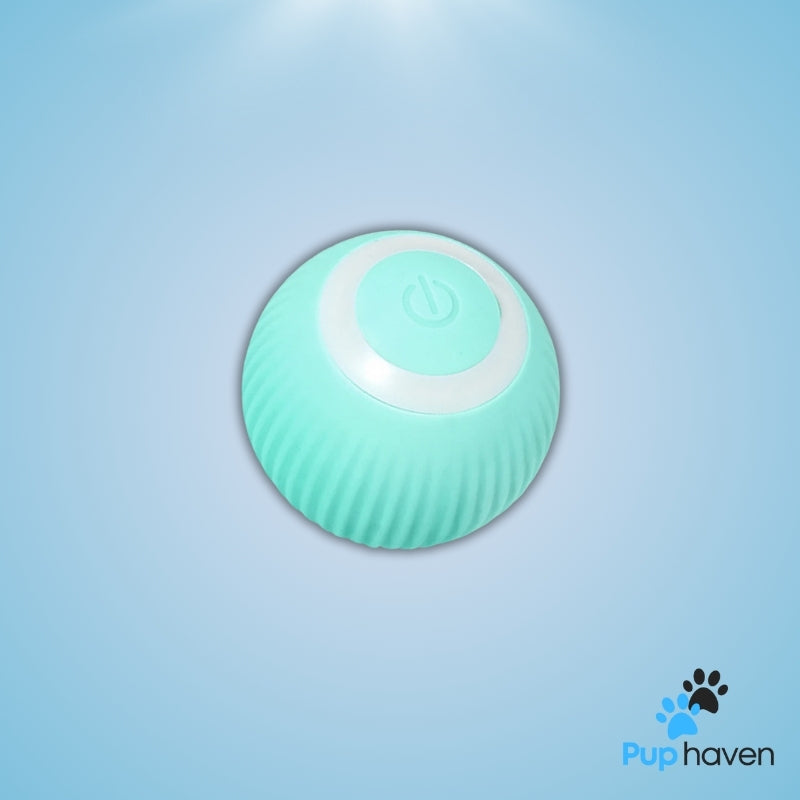 Green Interactive rolling pet toy for cats and dogs, designed to engage and entertain with automatic self-moving action.